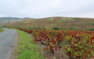 Cycl’Osmoz 2021 DAVAYE