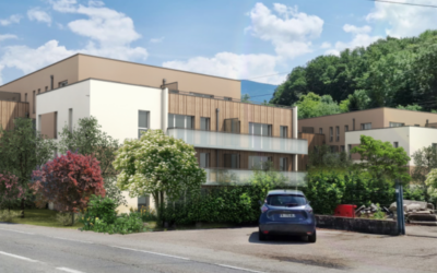 les OMBRAGES – VIF